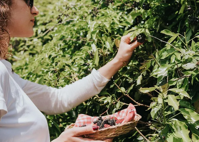 Jacopo' Mit Gemeinschaftspool By Interhome Διαμέρισμα